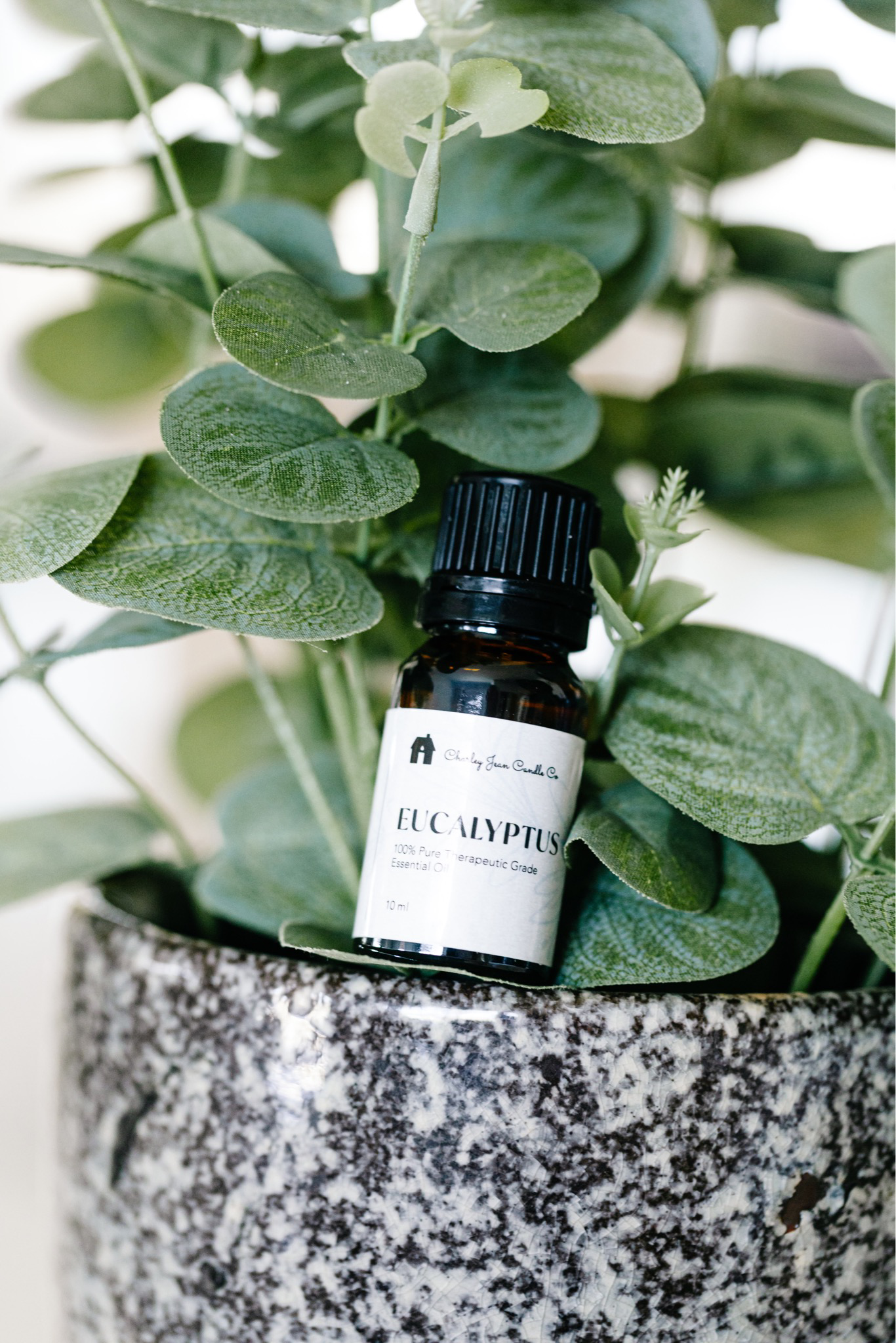 Eucalyptus Essential Oil