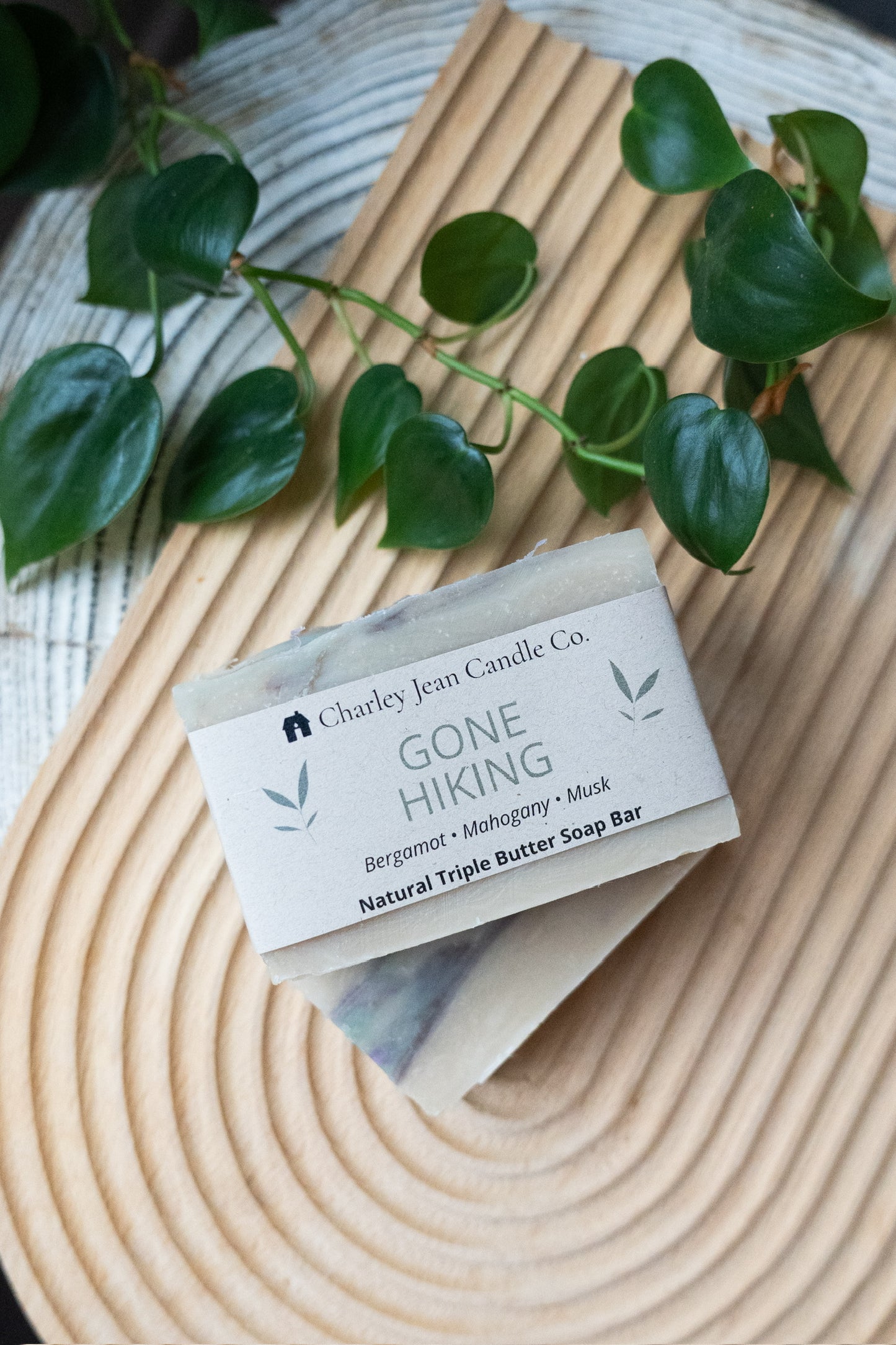 Gone Hiking Soap Bar